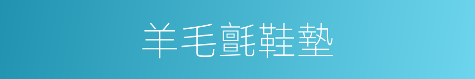 羊毛氈鞋墊的同義詞