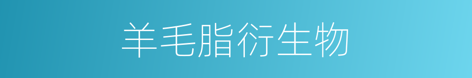 羊毛脂衍生物的同义词