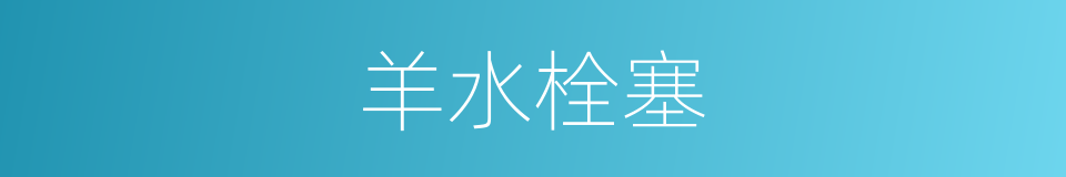 羊水栓塞的意思