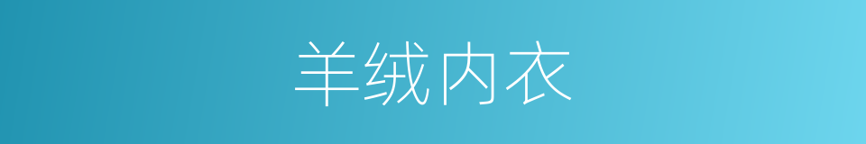 羊绒内衣的同义词