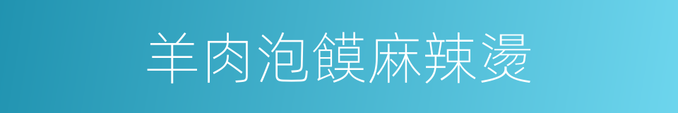 羊肉泡饃麻辣燙的同義詞