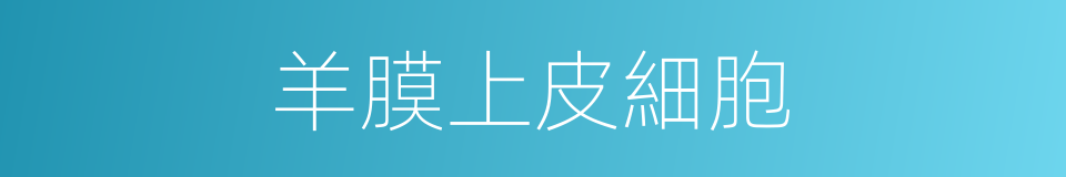 羊膜上皮細胞的同義詞
