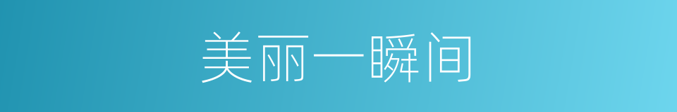 美丽一瞬间的同义词
