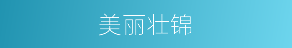 美丽壮锦的同义词