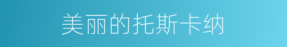美丽的托斯卡纳的同义词