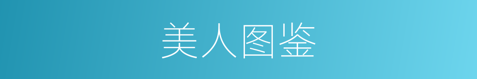 美人图鉴的同义词
