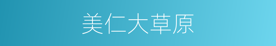 美仁大草原的同义词