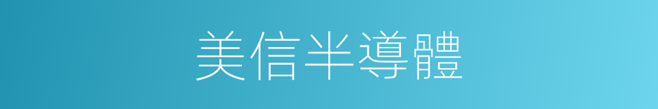 美信半導體的同義詞