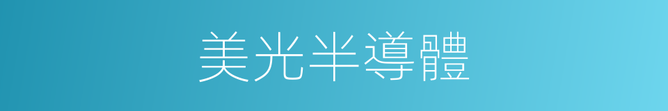 美光半導體的同義詞