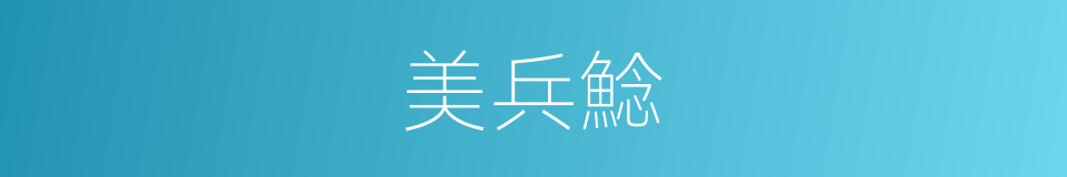 美兵鯰的同義詞