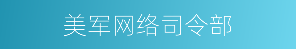 美军网络司令部的同义词