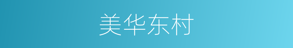 美华东村的同义词