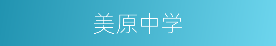 美原中学的同义词