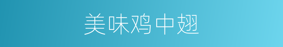 美味鸡中翅的同义词