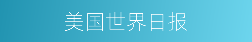 美国世界日报的同义词