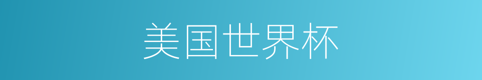 美国世界杯的同义词