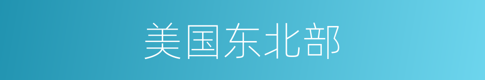 美国东北部的同义词