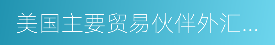 美国主要贸易伙伴外汇政策的同义词