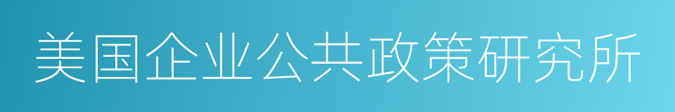 美国企业公共政策研究所的同义词