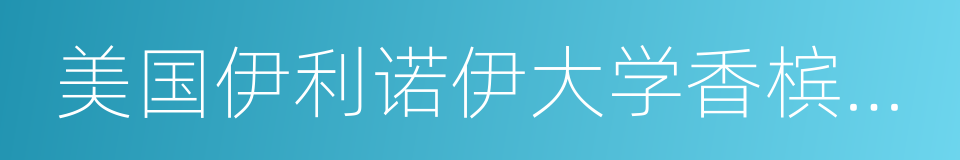 美国伊利诺伊大学香槟分校的同义词