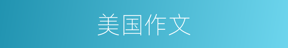 美国作文的同义词