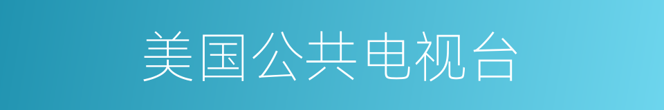 美国公共电视台的同义词