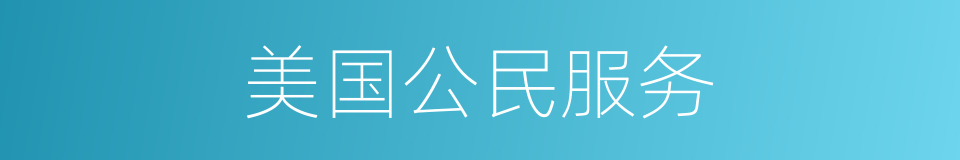 美国公民服务的同义词