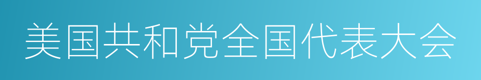 美国共和党全国代表大会的同义词