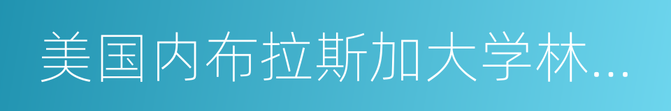 美国内布拉斯加大学林肯分校的同义词