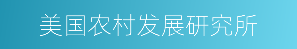 美国农村发展研究所的同义词