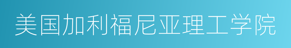 美国加利福尼亚理工学院的同义词