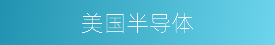 美国半导体的同义词