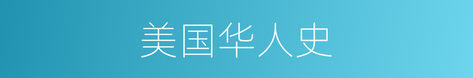 美国华人史的同义词