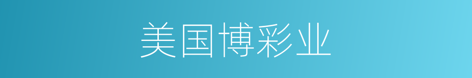 美国博彩业的同义词
