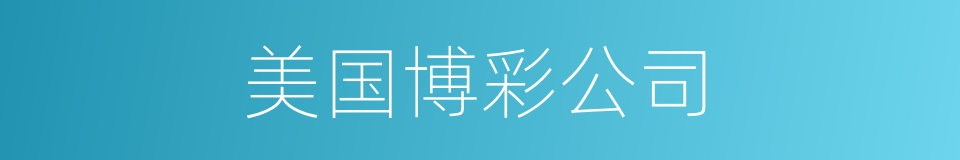 美国博彩公司的同义词
