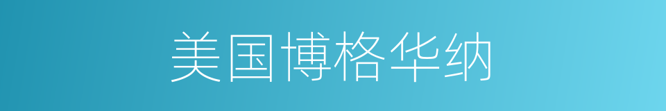 美国博格华纳的同义词