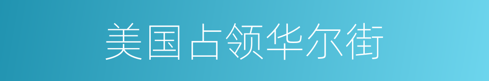 美国占领华尔街的同义词