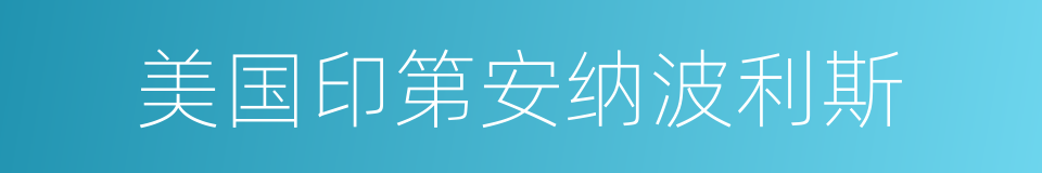 美国印第安纳波利斯的同义词