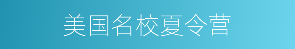 美国名校夏令营的同义词