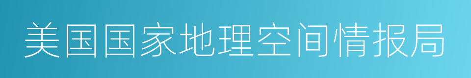 美国国家地理空间情报局的同义词