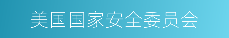 美国国家安全委员会的同义词