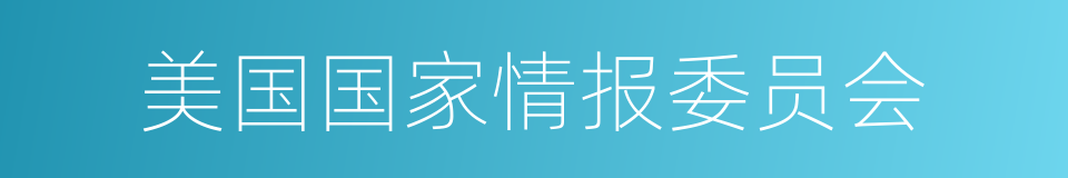 美国国家情报委员会的同义词