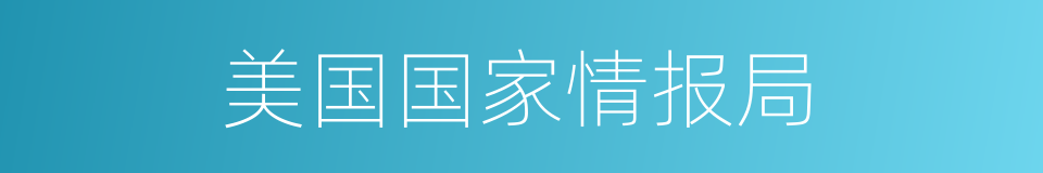 美国国家情报局的同义词