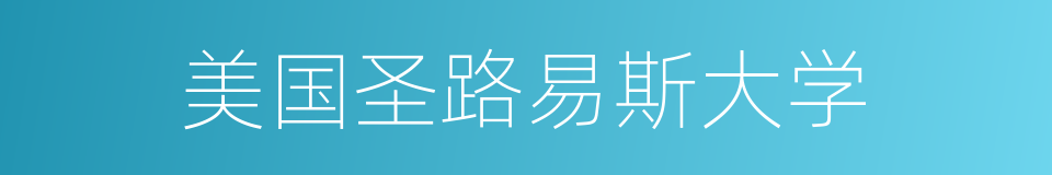 美国圣路易斯大学的同义词