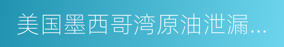 美国墨西哥湾原油泄漏事件的同义词