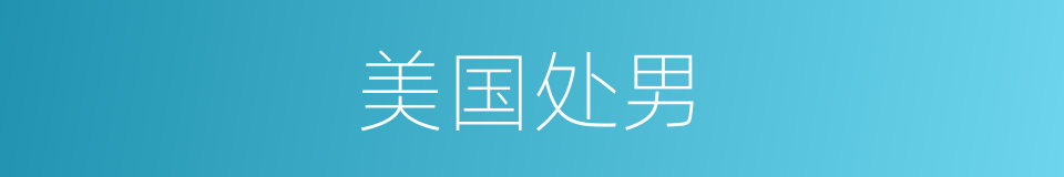 美国处男的同义词