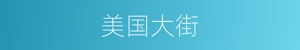 美国大街的同义词