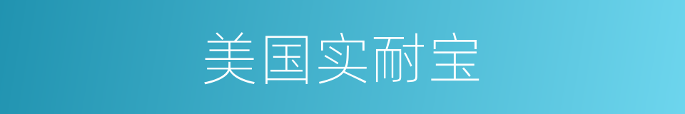 美国实耐宝的同义词