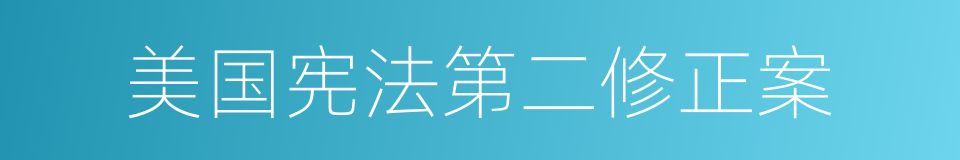 美国宪法第二修正案的同义词