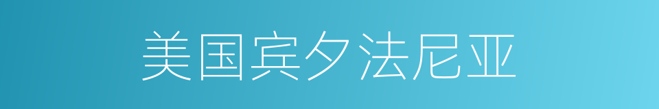 美国宾夕法尼亚的同义词